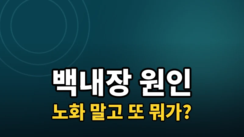 백내장은 왜 생길까 — 노화 외의 원인들